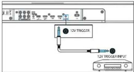 12V TRIGGER 12V TRIGGER INPUT