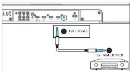 12V TRIGGER 12V TRIGGER INPUT