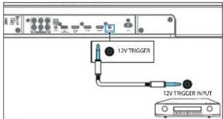 12V TRIGGER 12V TRIGGER INPUT