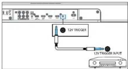 12V TRIGGER 12V TRIGGER INPUT