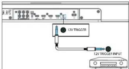 12V TRIGGER 12V TRIGGER INPUT