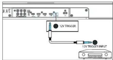 12V TRIGGER 12V TRIGGER INPUT