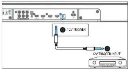 12V TRIGGER 12V TRIGGER INPUT