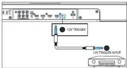 12V TRIGGER 12V TRIGGER INPUT