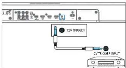 12V TRIGGER 12V TRIGGER INPUT