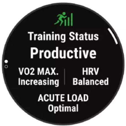 GARMIN MARQ Golfer (Gen 2) - Statut d'entraînement - 1