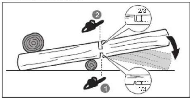 RYOBI RY18CSX35A - DEBITAREA UNUI BUŞTEAN LA DIMENSIUNE - 1