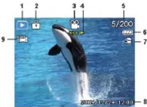MEDION LIFE S44080 (MD 87280) - Displays for video playback - 1