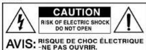 BLACKSTAR ID:Core Stereo 20 V2 - IMPORTANT SAFETY INSTRUCTIONS - 2