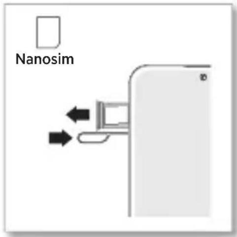 Nanosim