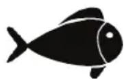 FOODSAVER FFS017X - Carne y pescado - 2
