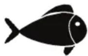 FOODSAVER FFS017X - Carne e pesce - 2