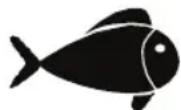 FOODSAVER FFS017X - Viandes et poissons - 2
