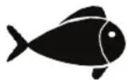FOODSAVER FFS017X - Fleisch und Fisch - 2