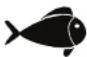 FOODSAVER VS1190X - Viandes et poissons - 2