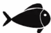 FOODSAVER FFS006X - Kød og fisk - 2