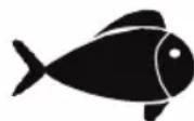FOODSAVER FFS006X - Viandes et poissons - 2
