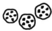FOODSAVER FFS006X - Snacks - 1