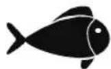 FOODSAVER FFS006X - Meat and Fish - 2