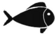 FOODSAVER FFS006X - Carne e pesce - 2