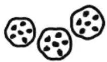FOODSAVER FFS006X - Snacks - 1
