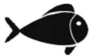 FOODSAVER FFS016X - Carne e pesce - 2