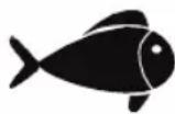 FOODSAVER FFS016X - Meat and Fish - 2