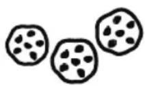FOODSAVER FFS016X - Snacks - 1