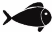 FOODSAVER FFS016X - Fleisch und Fisch - 2