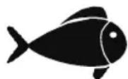 FOODSAVER FFS016X - Viandes et poissons - 2