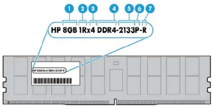 HP ScanJet 5000 s4 - Identification des modules DIMM - 1