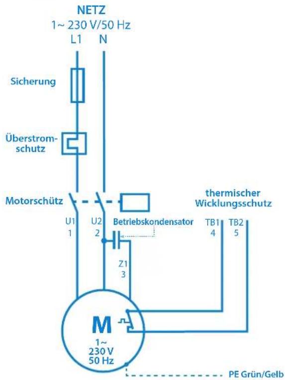 Sanibroyeur Sanipump ZPG 71 - GEFAHR - 2