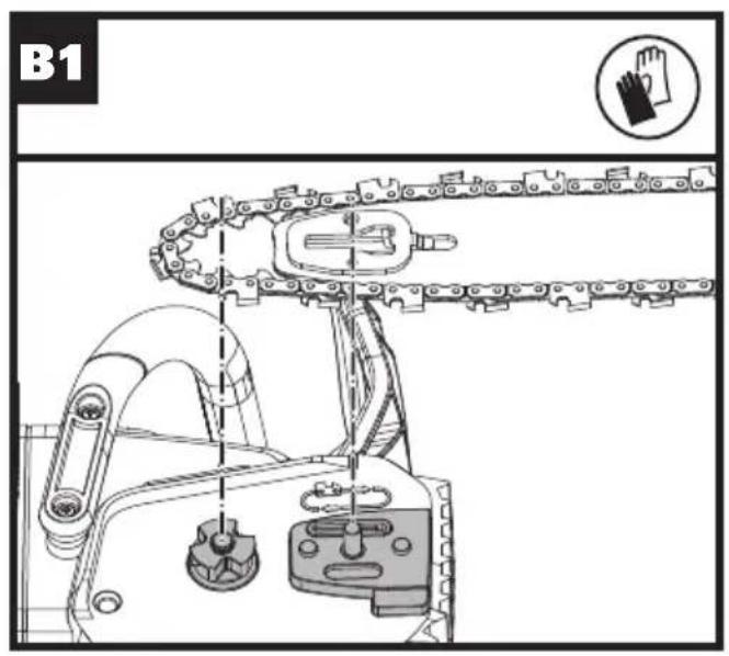 B1