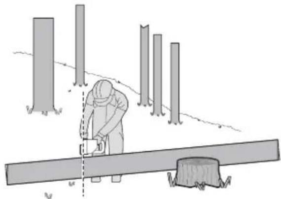 WORX WG385E.9 - Abbildung 5 - 1