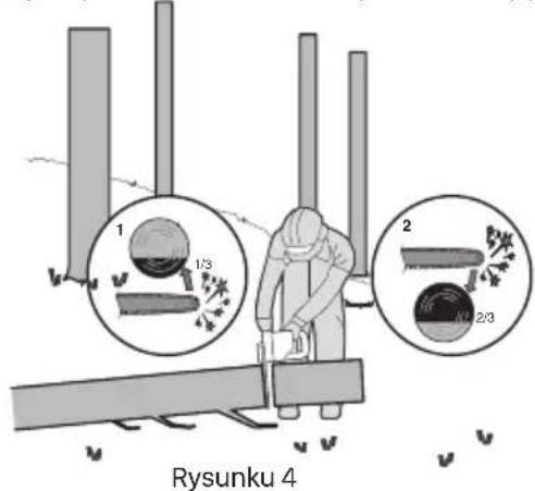 Rysunku 4