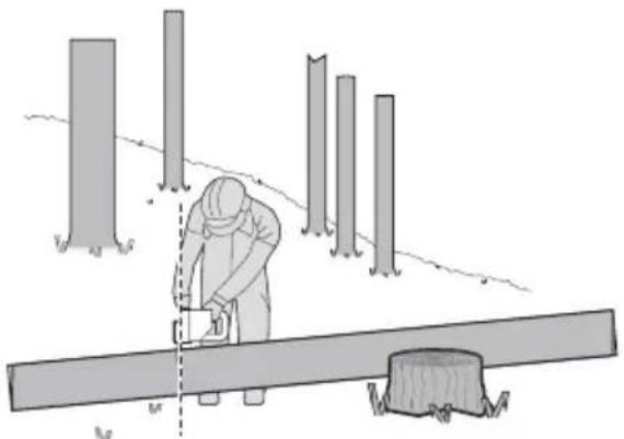 WORX WG385E.9 - Debitarea trunchiului de copac - 4