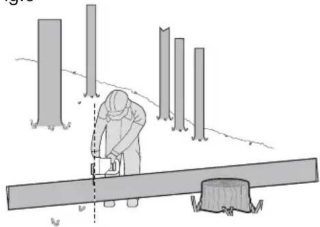 WORX WG384E.9 - Bucking a log - 4