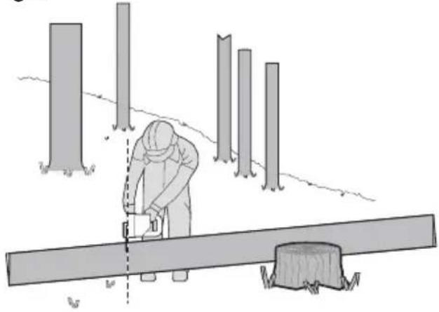 WORX WG322E.1 - Bucking a log - 4