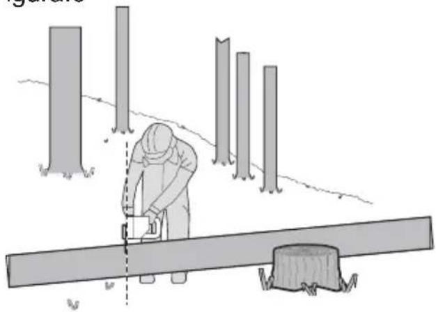 WORX WG322E.1 - Taglio di tronco d'albero - 4