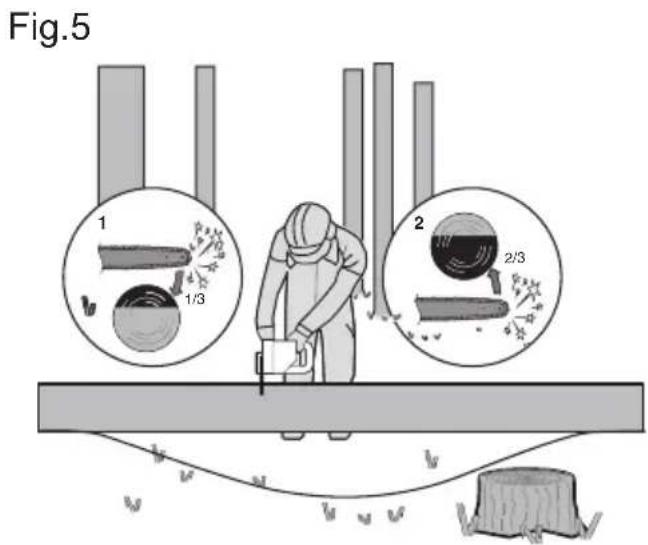 WORX WG322E.1 - Tronçonner les troncs d'arbre - 3