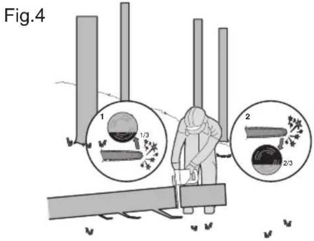 WORX WG322E.1 - Tronçonner les troncs d'arbre - 2
