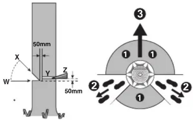 WORX WG322E.9 - Corte de talado - 1