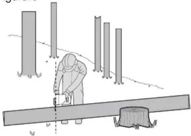 WORX WG322E.9 - Debitarea trunchiului de copac - 4