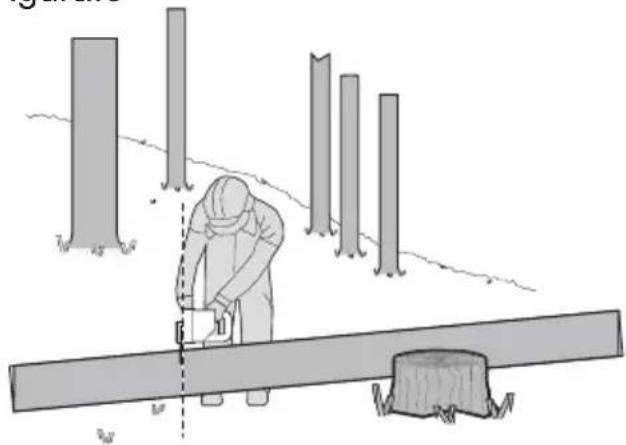 WORX WG322E.9 - Troceado del tronco - 4