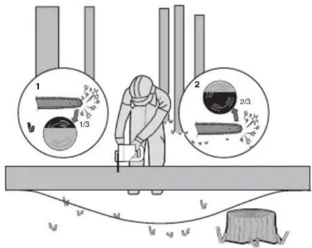 WORX WG322E.9 - Debitarea trunchiului de copac - 3