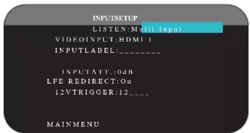 ROTEL RSP1580 - Multi Input Setup - 1