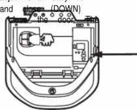 and the door (DOWN)