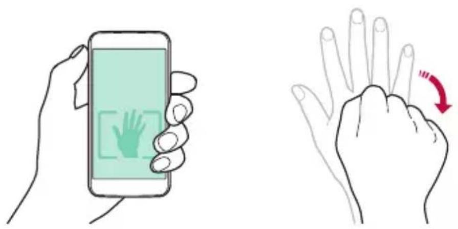 Illustration showing a hand holding a smartphone and a palm with a red curved arrow indicating the palm's rotation.
