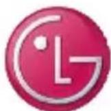 LG Optimus L4 Dual - Troubleshooting - 1