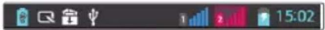 LG Optimus L4 Dual - Indicator icons on the Status Bar - 1